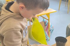 lekcja-przyrody-1c-2026-3