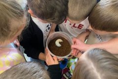 Warsztaty-przyrodnicze-Animalia-2026-15