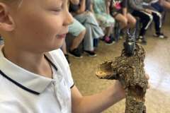 Warsztaty-przyrodnicze-Animalia-2026-2