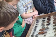 Warsztaty-przyrodnicze-Animalia-2026-9
