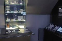 warsztaty-z-klasa-6b-2026-10