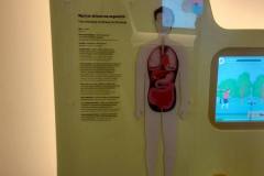 warsztaty-z-klasa-6b-2026-7